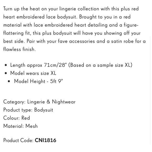 PRETTYLITTLETHING Red Heart Embroidered Lace Bodysuit - Picture 10 of 12